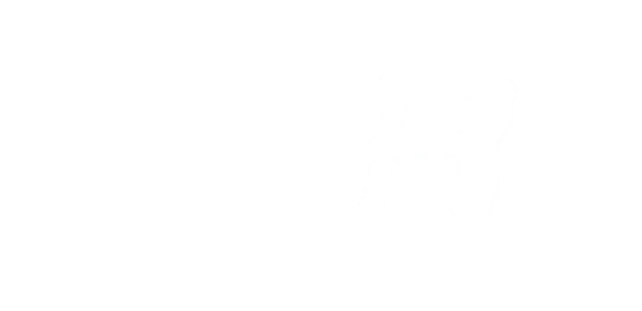 LBR Electronics